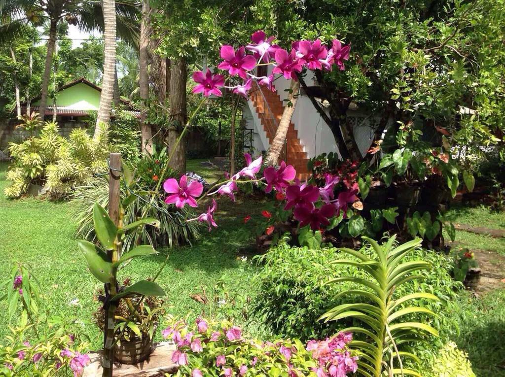Tranquil Private Villa Near Bentota Beach Exterior photo